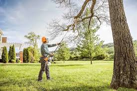 Best Tree Removal Services  in , IN